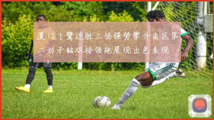 厦门飞鹭连胜三场强势攀升南区第二刘子铭双榜领跑展现出色表现